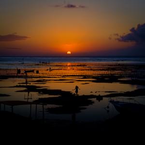 Nusa lembongan Ceningan Kintamani Uluwatu and Ubad Bali Indonesia