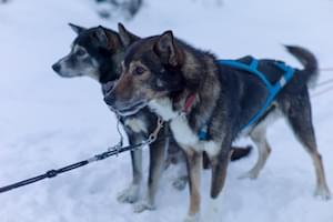 Kiruna Northern Sweden