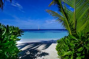 Idyllic Maldives Indian Ocean Kandolhu North Ari Atoll