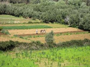 Marrakesh Morocco Atlas Mountains