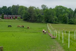 Sweden Scandanavia Nordic Country