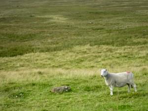 Beautiful Wales United Kingdom