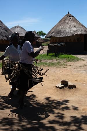 Zimbabwe Wildlife Elephants Victoria Falls Zimbabwe Ruins Great Zimbabwe