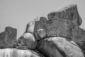 Zimbabwe Wildlife Elephants Victoria Falls Zimbabwe Ruins Great Zimbabwe